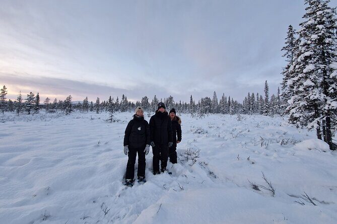 Snowshoe in a Winter Forest - Practical Information for Your Trip