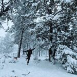 Snowshoe Tour Big Bear Lake with Hot Chocolate - Final Thoughts: Is It Worth Your While?