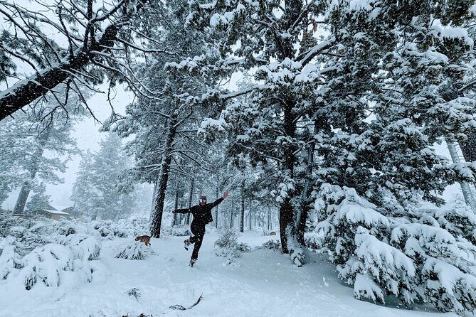 Snowshoe Tour Big Bear Lake with Hot Chocolate - Final Thoughts: Is It Worth Your While?
