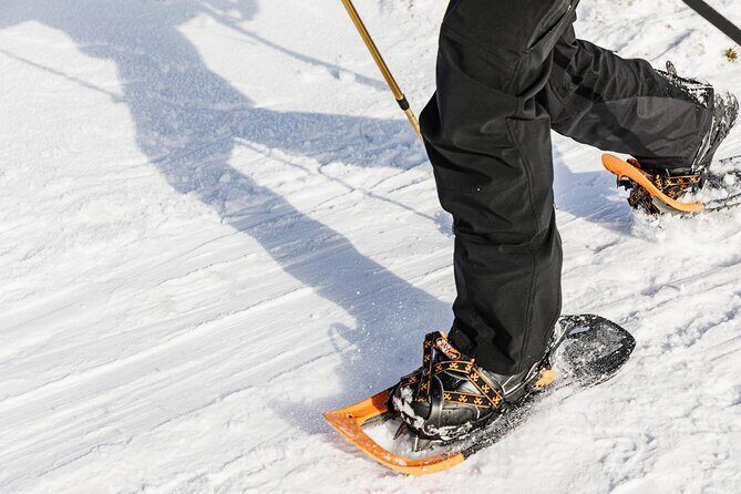 Snowshoe tour in Winter Wonderland - Oslo - The Value of the Tour