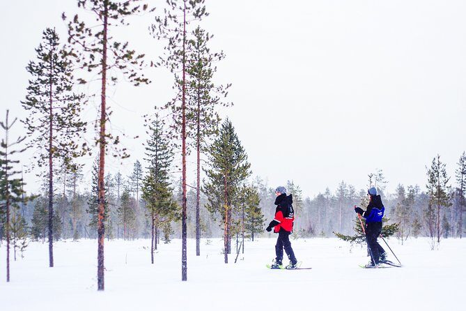 Snowshoe Trip for Searching Arctic Animals - Who Should Consider This Tour?