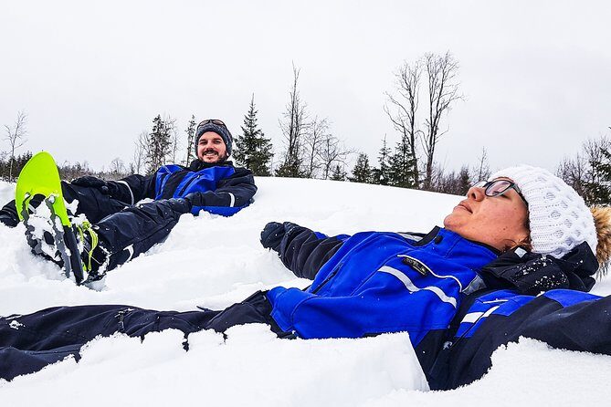 Snowshoe Trip in the Forest - Why You Should Consider This Tour