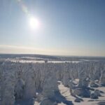 Snowshoe up a Mountain - FAQ: Your Questions About the Snowshoe Tour in Kiruna