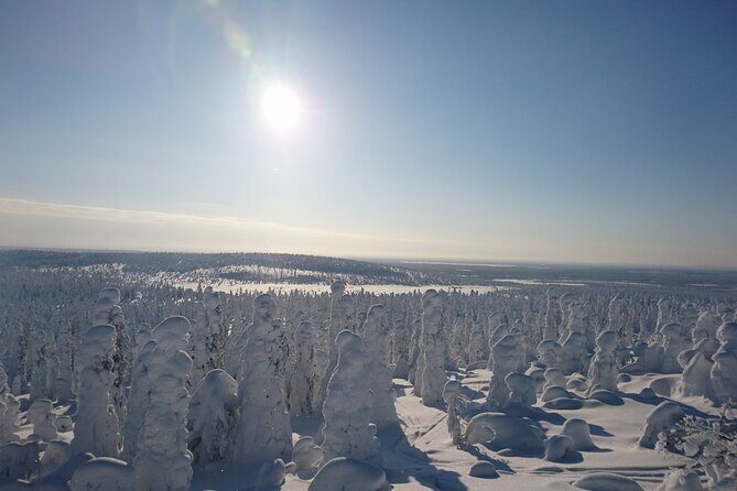 Snowshoe up a Mountain - FAQ: Your Questions About the Snowshoe Tour in Kiruna