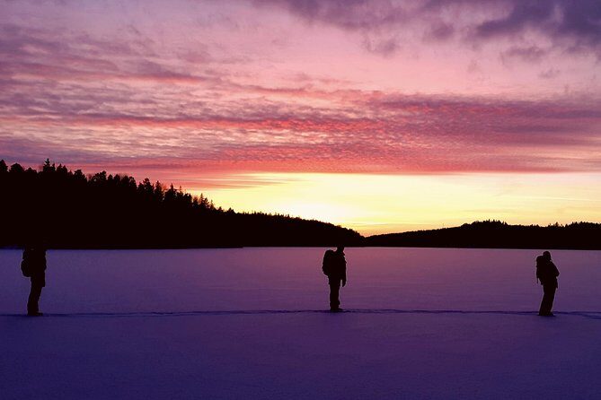 Snowshoe Winter Hike from Stockholm - Who Will Love This Tour?