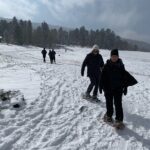 Snowshoeing Adventure in the Rocky Mountains Close to Denver - Why This Tour Offers Real Value