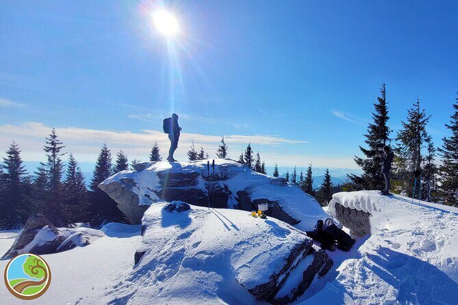 Snowshoeing Fun Tour from Cluj Napoca - Who Should Consider This Tour?