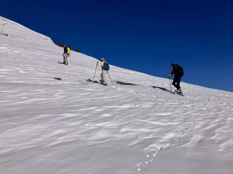 Snowshoeing in Bakuriani, Caucasus Mountains - Exploring the Snowshoeing Experience in Bakuriani