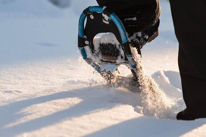 Snowshoeing in the Arctic Circle Wilderness - Exploring Rovaniemi’s Arctic Wilderness on Snowshoes