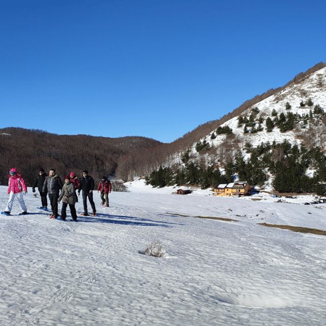 Snowshoeing in the Pollino National Park - Who Would Enjoy This Tour?