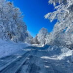 Snowshoeing on the Lure mountain - An In-Depth Look at the Snowshoeing Experience on Lure Mountain