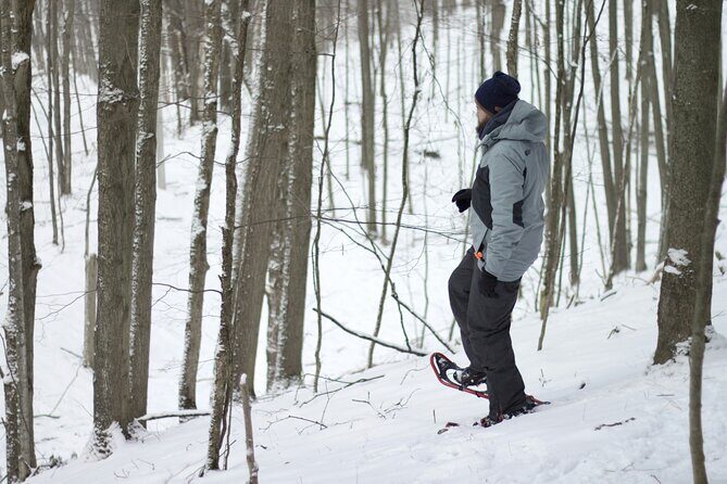 Snowshoeing tour with Wild Lunch - An In-Depth Look at the Snowshoeing Tour in Rovaniemi