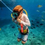 Snuba Cabo San Lucas Dive Without a Tank - How the Tour Is Structured