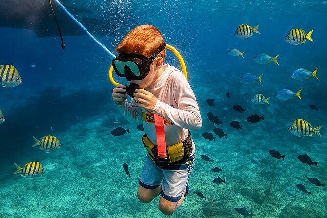 Snuba Cabo San Lucas Dive Without a Tank - How the Tour Is Structured