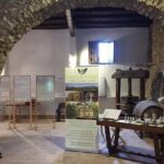 Soap and Olive Oil Experience - Exploring the Sicily Soap and Olive Oil Experience: What You Can Expect