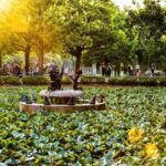 Sofia full day tour - A Deep Dive into Sofia’s Highlights