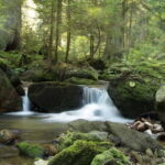 Sofia: Lovech, Devetaki Cave and Krushuna Waterfalls Tour - What We Loved About This Tour