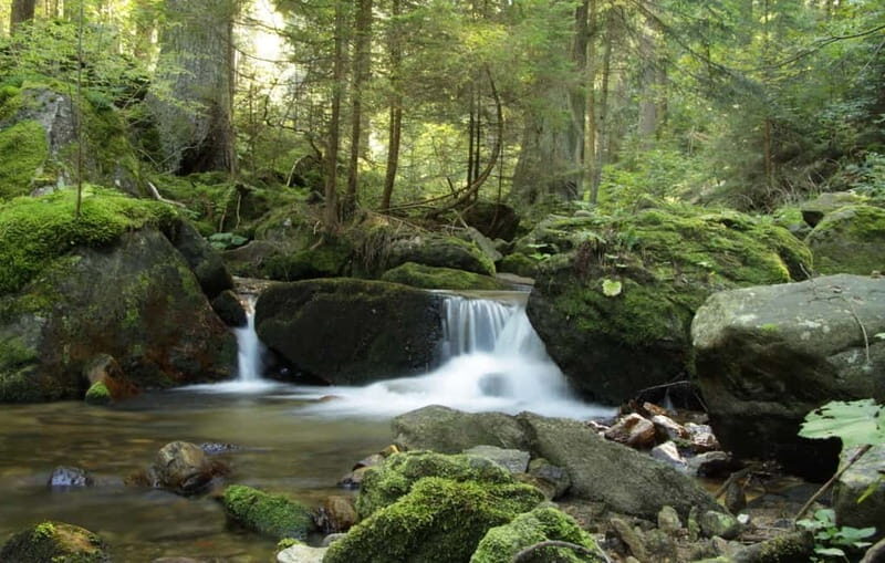 Sofia: Lovech, Devetaki Cave and Krushuna Waterfalls Tour - What We Loved About This Tour