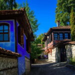Sofia: Paragliding Adventure with visit of Koprivshtitsa - Practical Details and Value