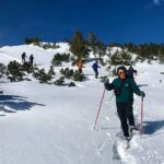 Sofia: Small group to Seven Rila Lakes and Skakavitsa waterfall - Exploring Bulgaria’s Mountain Gems: A Detailed Review