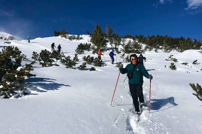 Sofia: Small group to Seven Rila Lakes and Skakavitsa waterfall - Exploring Bulgaria’s Mountain Gems: A Detailed Review
