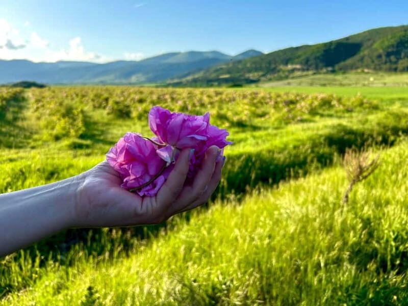 Sofia:The Highlights of Bulgaria - Rose Valley and Buzludzha - FAQ