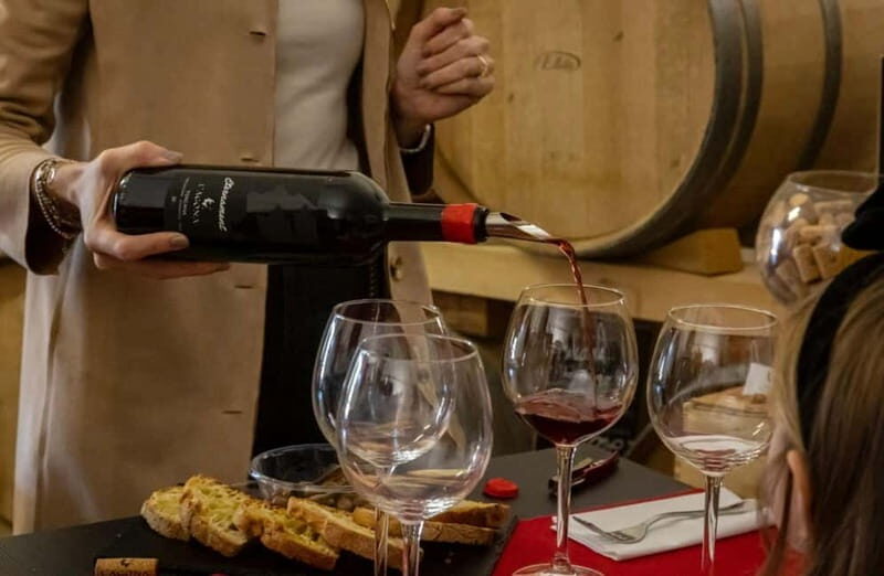 Soiana: Vineyard & Cellar Tour with Wine Tasting near Pisa - In-Depth Look at the Experience