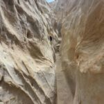 Solana Beach: Guided Hiking/Bike Tour to Annies Canyon - Why This Tour Is Worth Considering