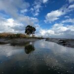 Solar Boat Tour along the Salgado da Ria de Aveiro - Who Would Love This Tour