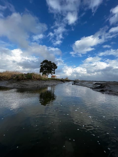 Solar Boat Tour along the Salgado da Ria de Aveiro - Who Would Love This Tour