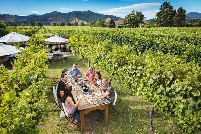 Solo Traveller Full Day Wine Gourmet and Scenic Delights Tour from Blenheim - Who Will Love This Tour?