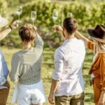 Sonoma Valley: Guided Winery Tour with Picnic Lunch - An in-depth look at this Sonoma Valley Winery Tour