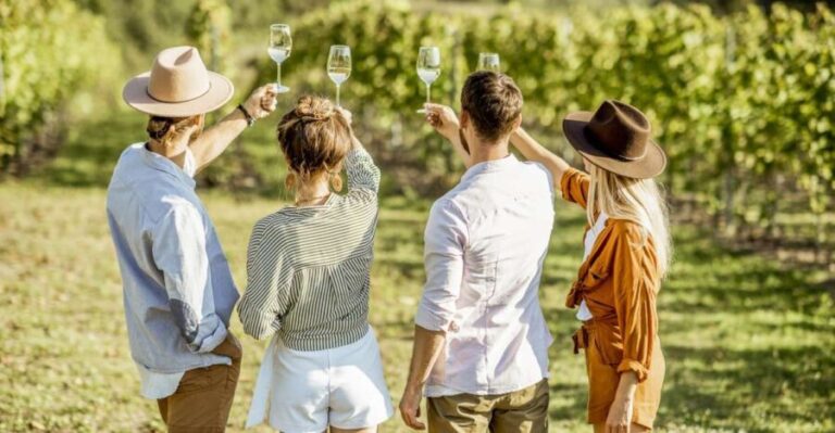 Sonoma Valley: Guided Winery Tour with Picnic Lunch - An in-depth look at this Sonoma Valley Winery Tour