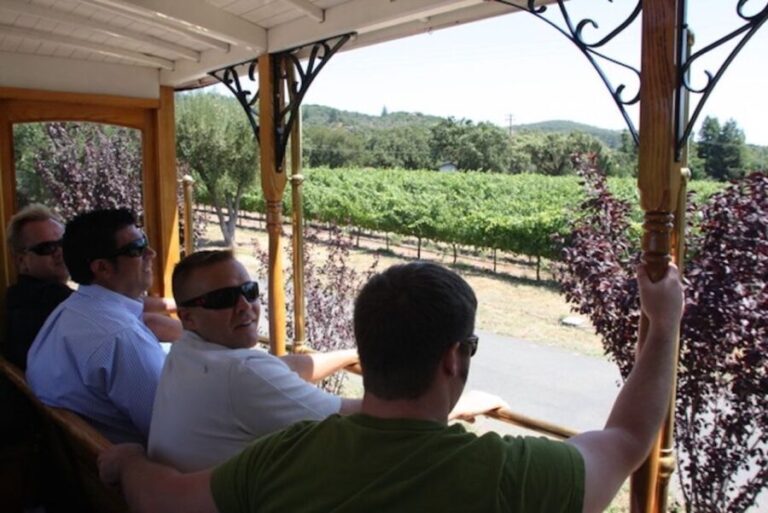 Sonoma Valley: Wine Trolley Tasting Tour with Lunch - Exploring the Experience in Detail