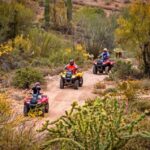 Sonoran Desert: Guided UTV or ATV Desert Tour - The Logistics and Tips