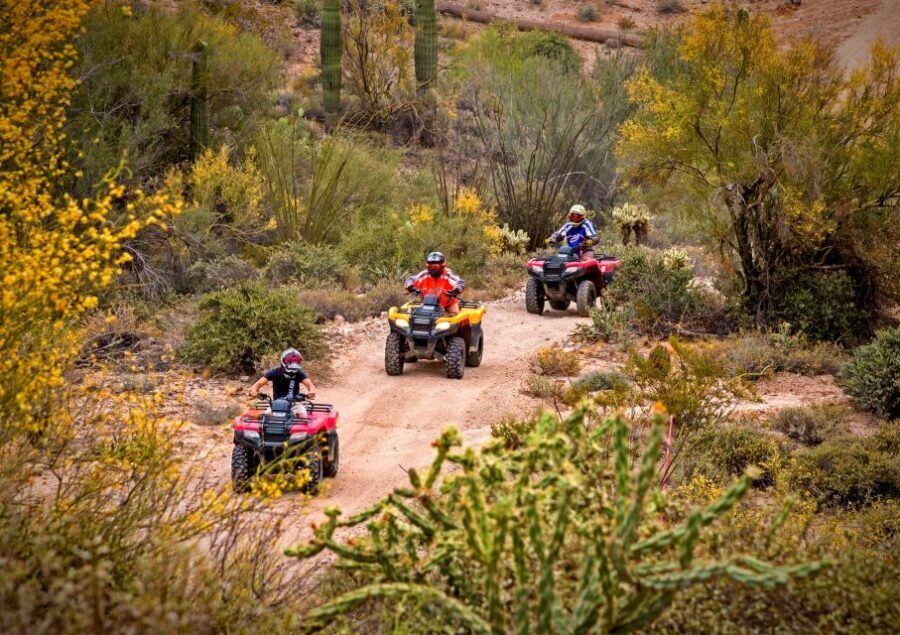 Sonoran Desert: Guided UTV or ATV Desert Tour - The Logistics and Tips