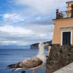 Sorrento grand tour off the beaten track with breathtaking landscapes - Exploring Sorrento’s Hidden Corners: A Deep Dive