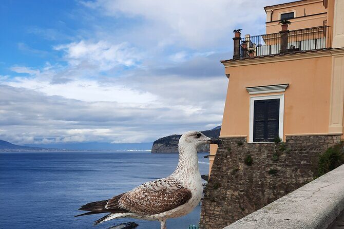 Sorrento grand tour off the beaten track with breathtaking landscapes - Exploring Sorrento’s Hidden Corners: A Deep Dive