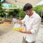 Sorrento: Lemon Tour & Limoncello Spritz Workshop - Exploring the Sorrento Lemon Tour & Limoncello Workshop