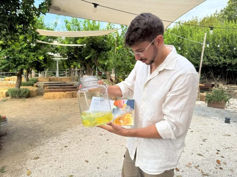 Sorrento: Lemon Tour & Limoncello Spritz Workshop - Exploring the Sorrento Lemon Tour & Limoncello Workshop