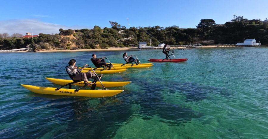 Sorrento, Mornington Peninsula Waterbike Tour - Wildlife and Natural Encounters