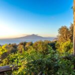 SORRENTO: Sunset Limoncello Making After-Dinner Experience - Who Will Love This Experience?