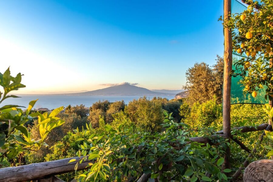 SORRENTO: Sunset Limoncello Making After-Dinner Experience - Who Will Love This Experience?