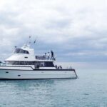 Sorrento,Mornington Peninsula: Wildlife & Sightseeing Cruise - Final Thoughts