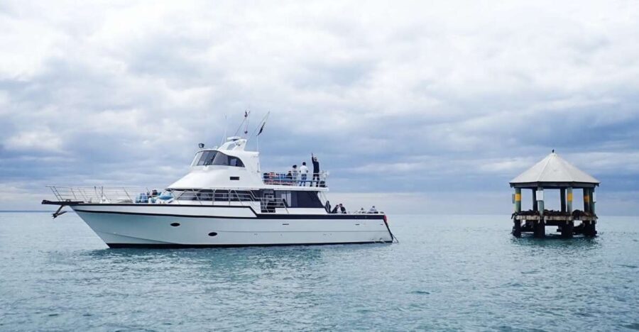 Sorrento,Mornington Peninsula: Wildlife & Sightseeing Cruise - Final Thoughts