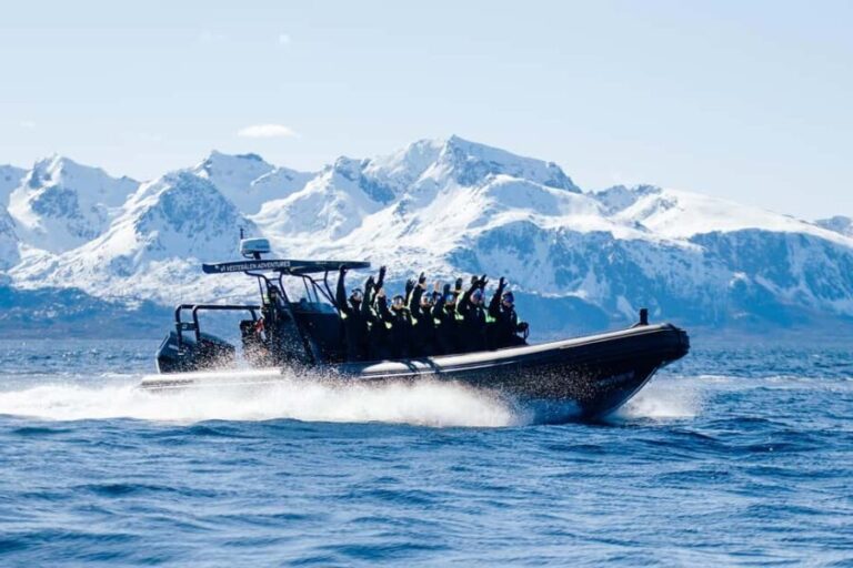 Sortland: Trollfjord RIB Boat Tour - The Sum Up