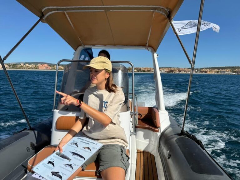 Sotogrande: Dolphin watching experience with expert crew - Final Thoughts: Is It Worth It?