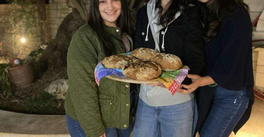 Sourdough Bread Baking Class - Olive Oil Tasting - FAQ