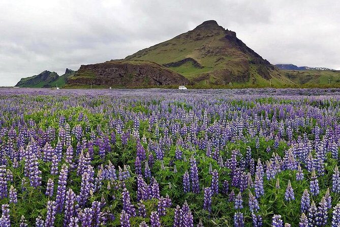 South Coast. Private Day Tour from Reykjavik - What Makes This Tour Stand Out?