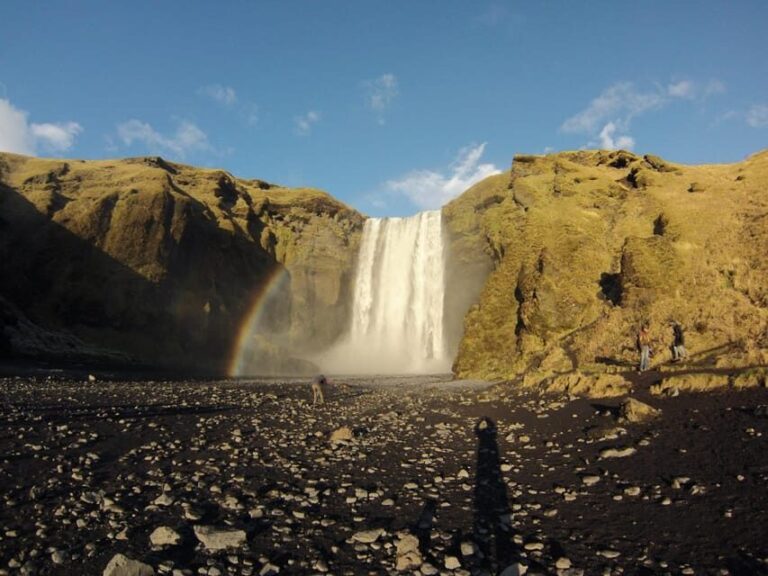 South Coast Private Luxury Tour - Exploring Iceland’s South Coast: What’s Included and What to Expect